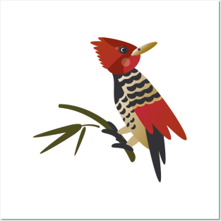 Cabecirrufo Woodpecker Posters and Art